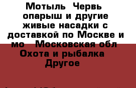 Мотыль. Червь, опарыш и другие живые насадки с доставкой по Москве и мо - Московская обл. Охота и рыбалка » Другое   